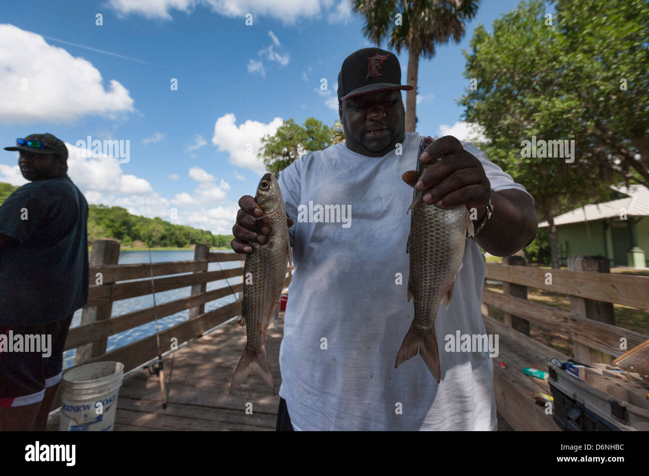 Mullet fish catch Fotos und Bildmaterial in hoher Auflösung Alamy