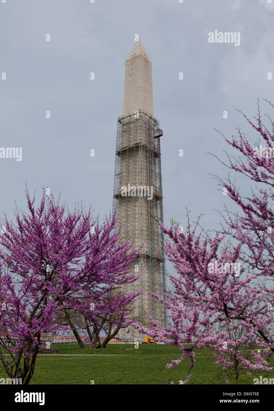 Das Washington Monument in Erdbeben Schäden Restaurierung - Washington, DC USA Stockfoto