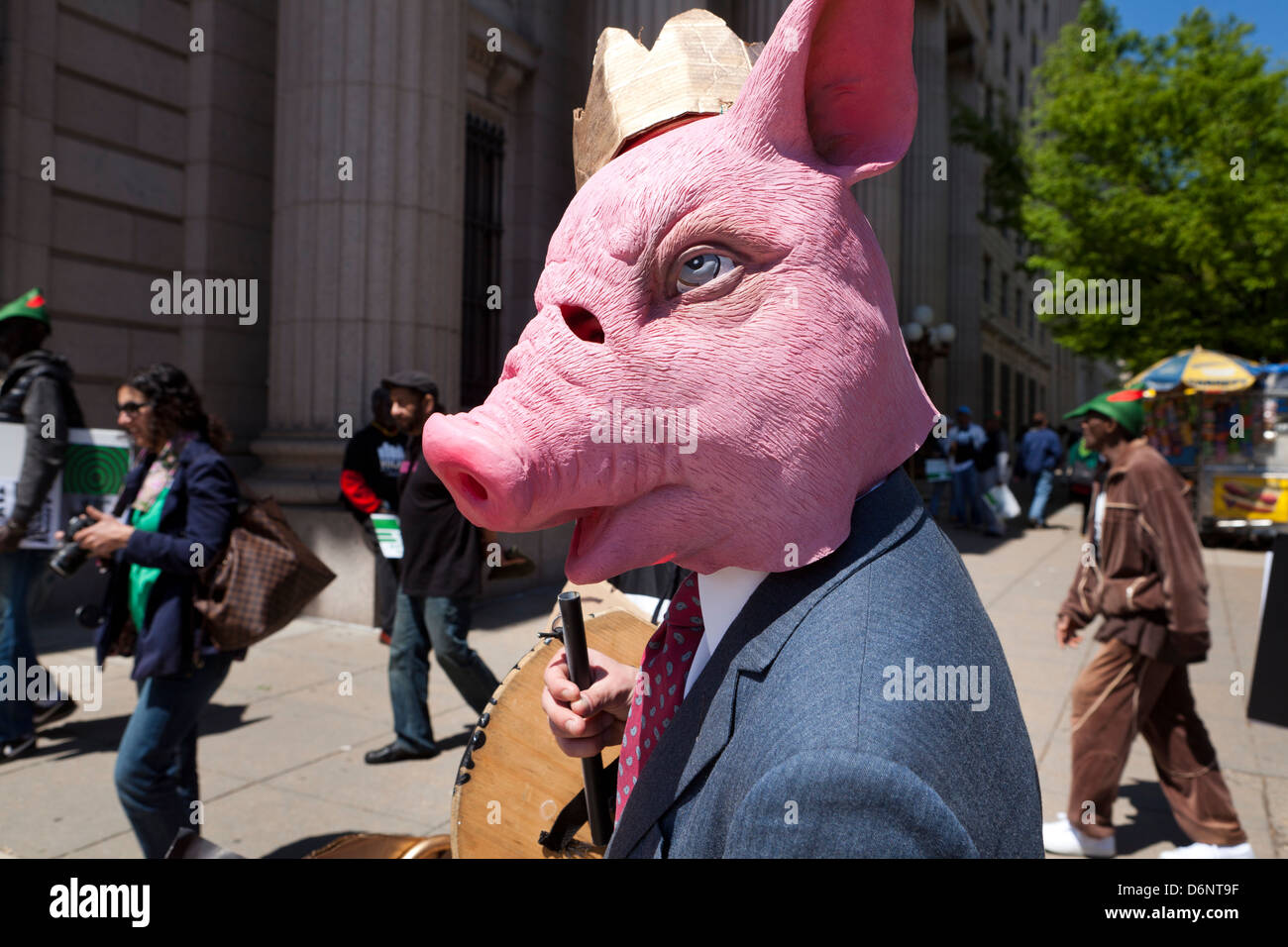 Mann mit einem Schwein Maske Rallye Stockfoto