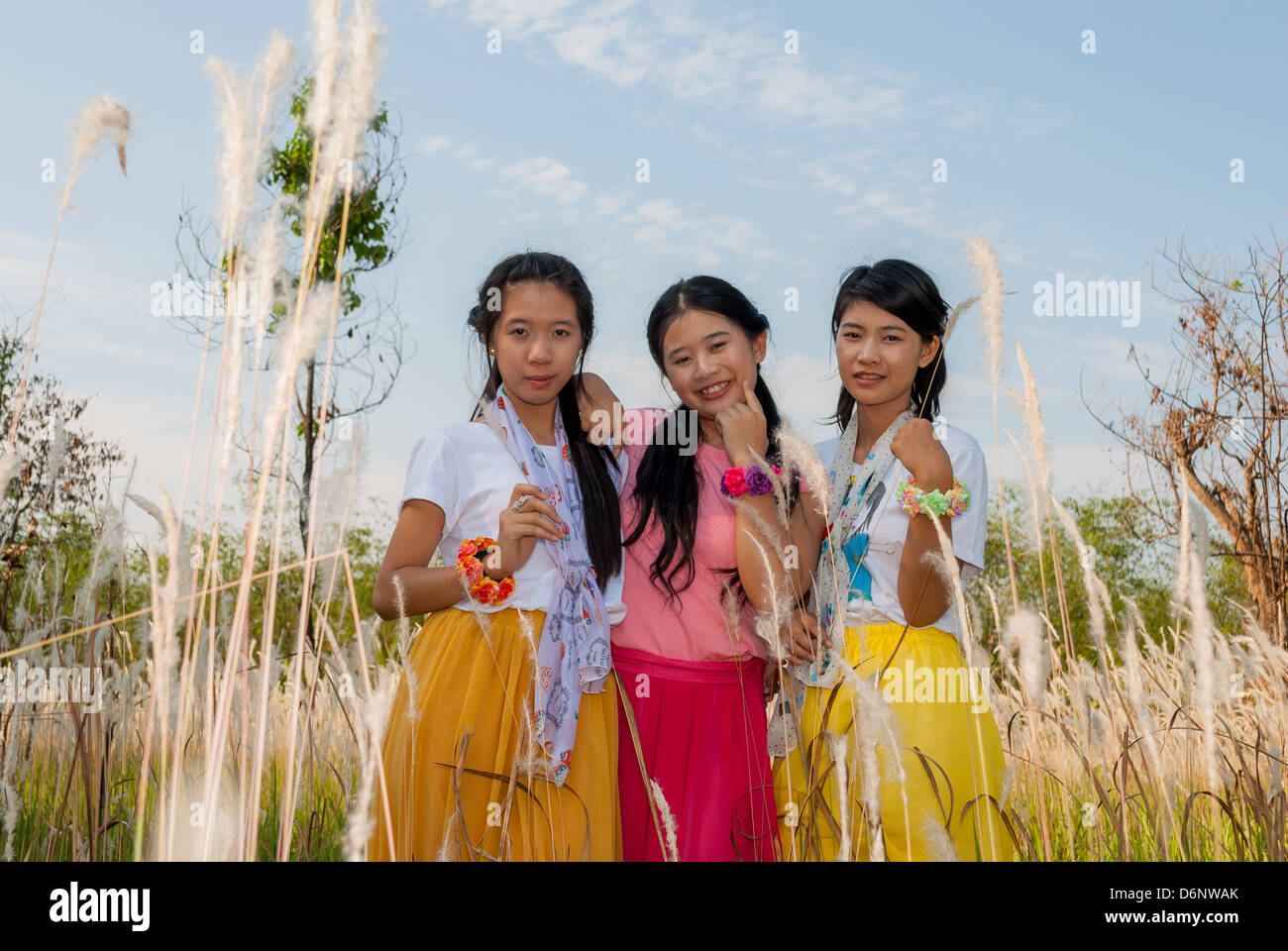 Asiatische Thaigirls stehen zusammen auf dem Gebiet. Stockfoto