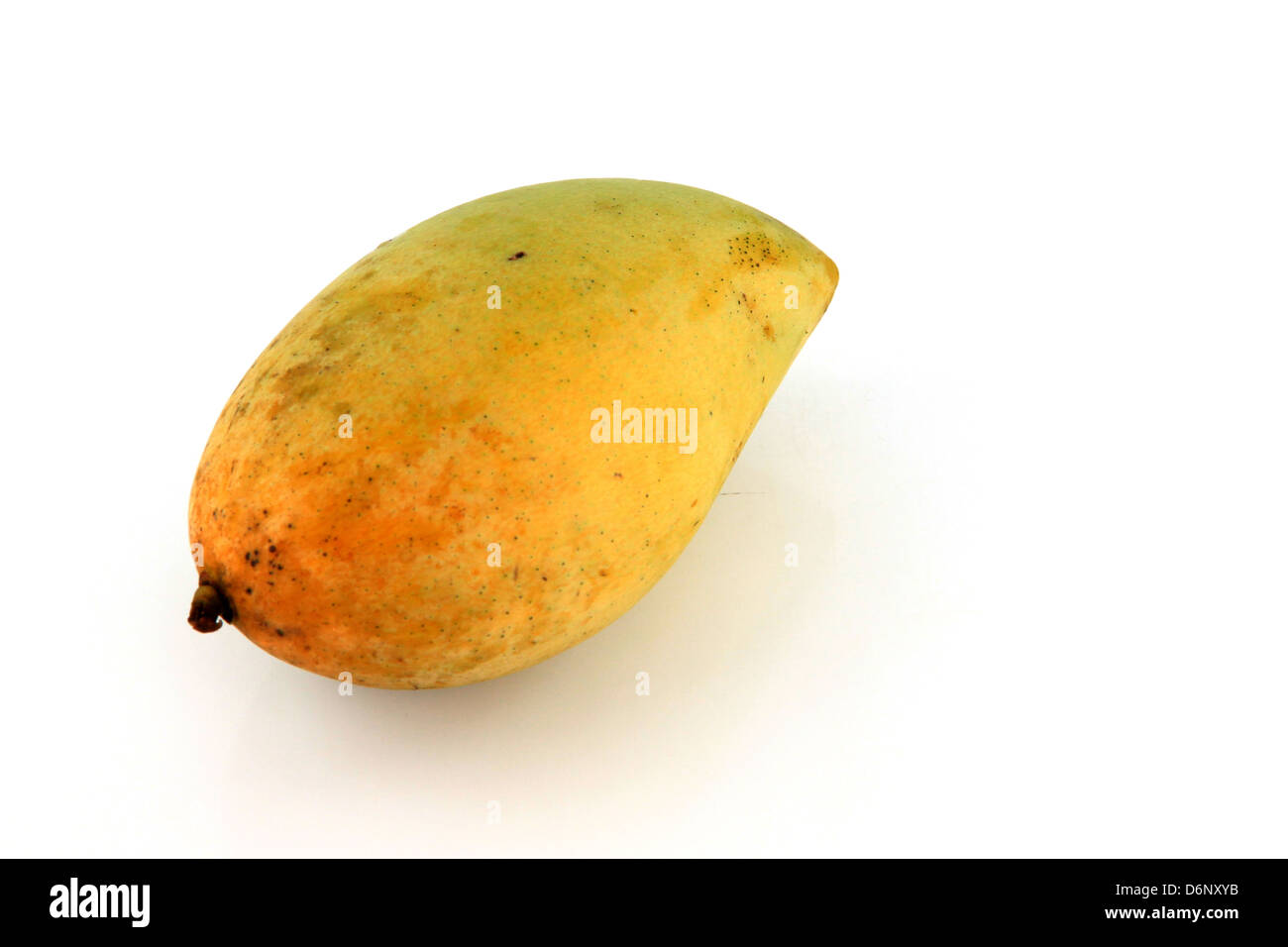 Reife Mangos sind in der gelben Farbe. Stockfoto