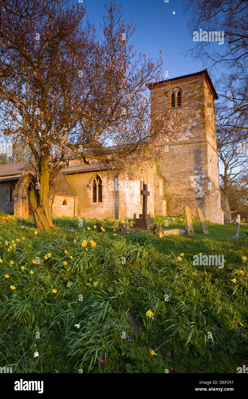 Pfarrkirche St. Maurice in das Dorf Horkstow an einem Frühlingsabend. North Lincolnshire, England. April 2013. Stockfoto