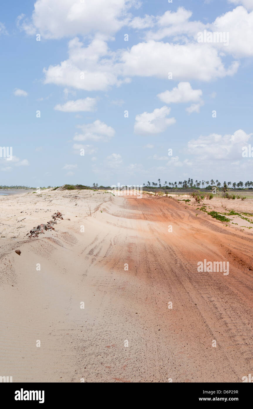 Erosion: Wind geblasen Sandweg... Stockfoto