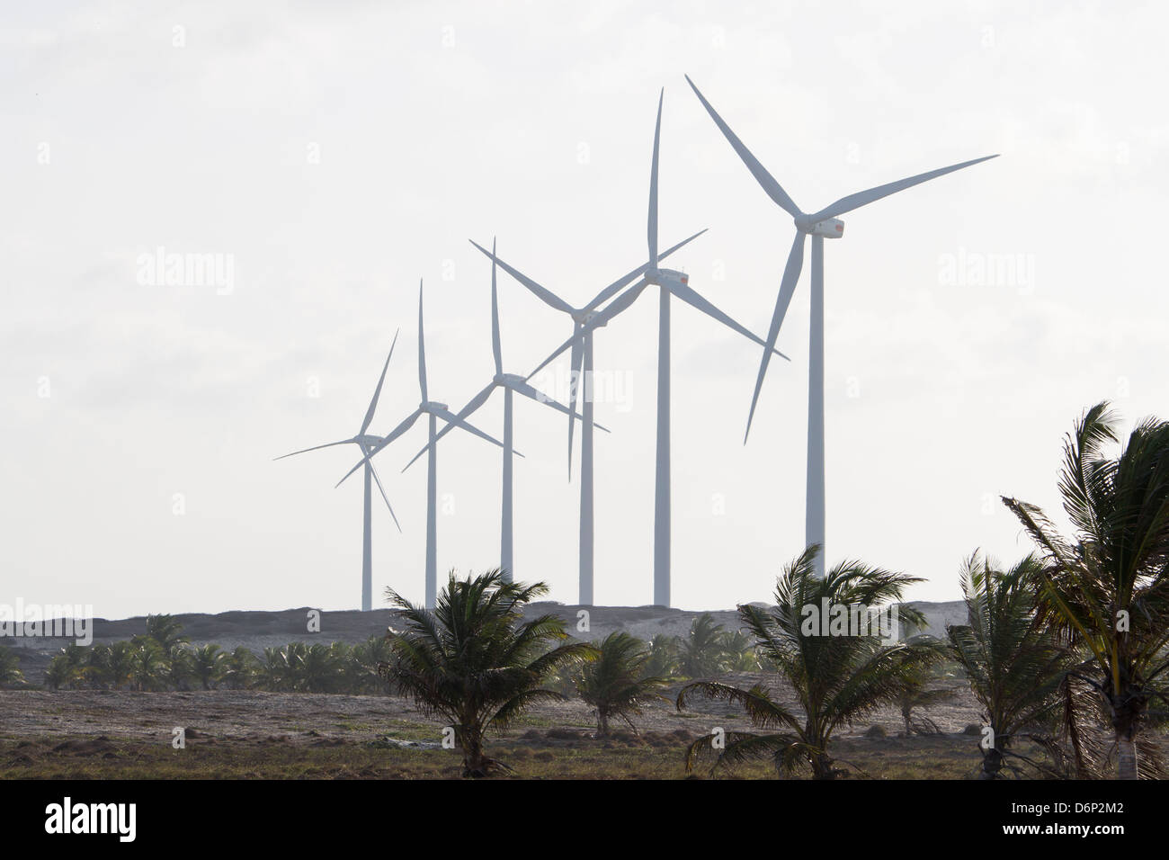 Paracuru Windenergieanlagen 6 Stockfoto