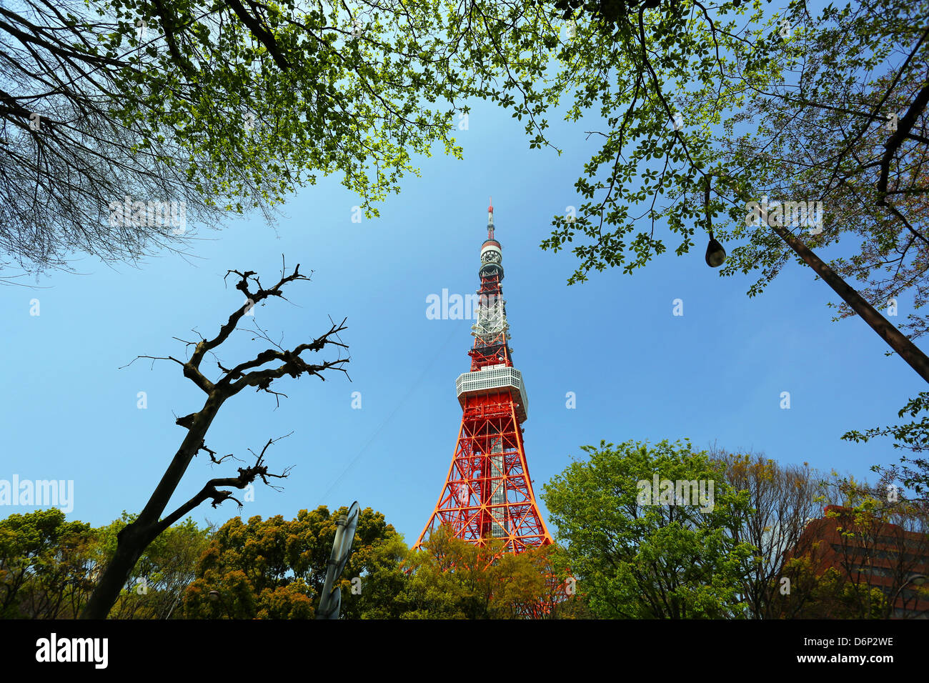Der Tokyo Tower, Tokyo, Japan Stockfoto