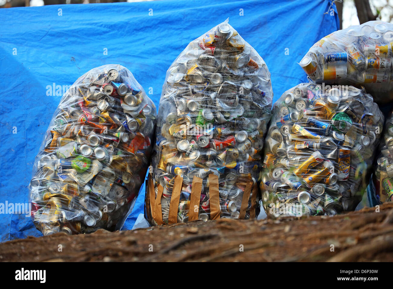 Müll und Aluminium Blechdosen für die Wiederverwertung in Säcken im Park am Ueno, Tokyo, Japan Stockfoto