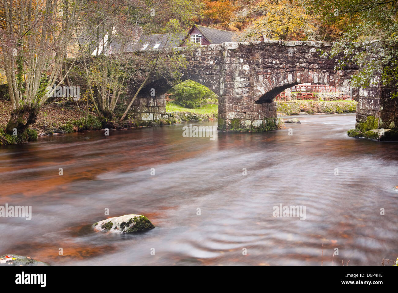 Fingle Bridge und der Fluß Teign, Dartmoor Nationalpark, Devon, England, Vereinigtes Königreich, Europa Stockfoto