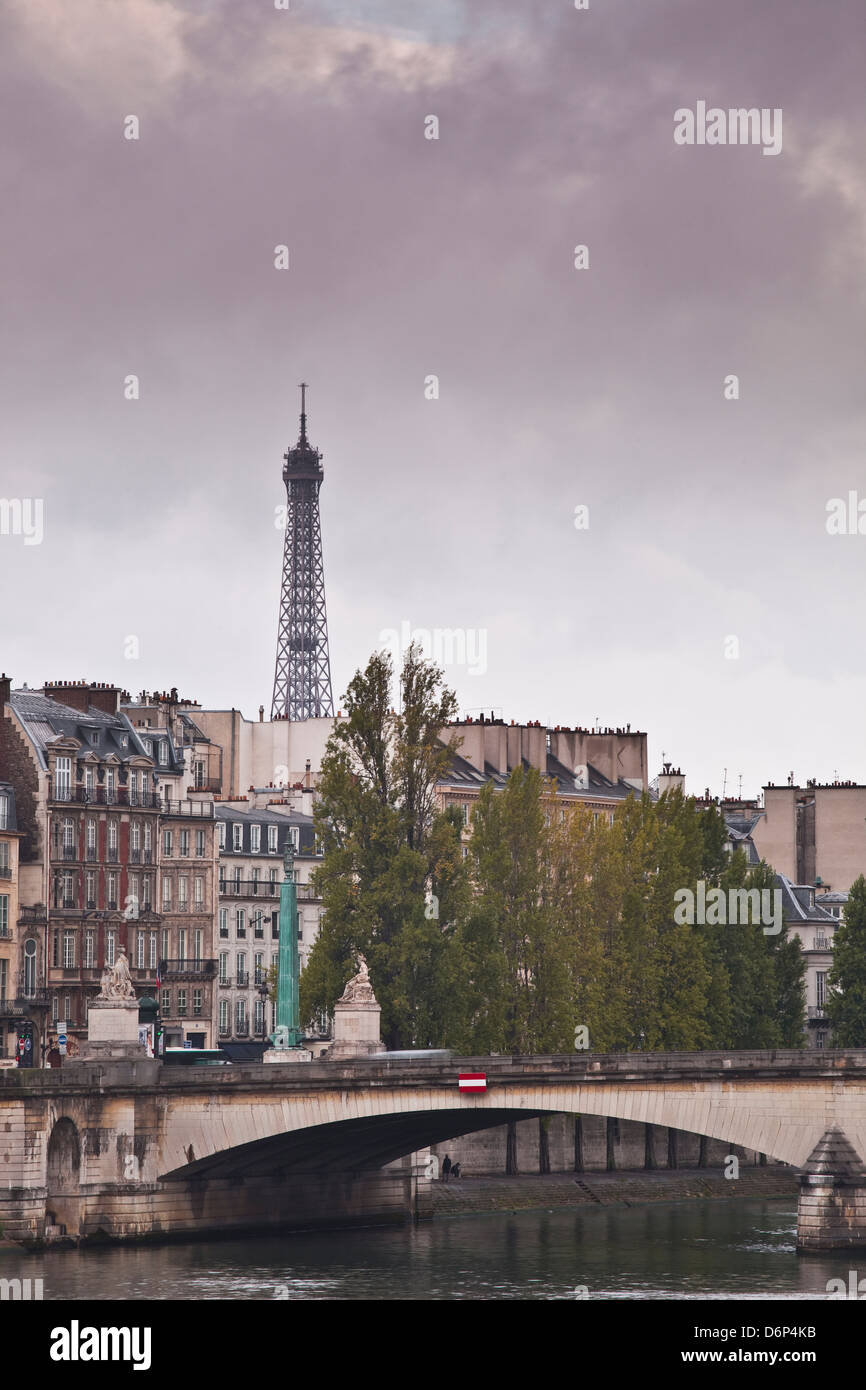 Am linken Ufer und dem Eiffel-Turm an einem regnerischen Tag, Paris, Frankreich, Europa Stockfoto