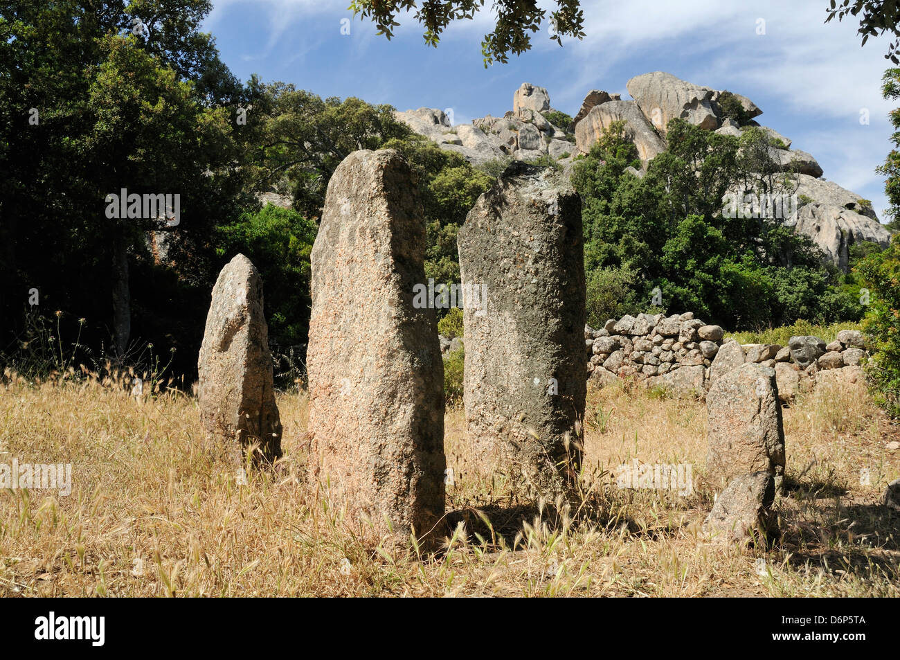 Rinaju Ausrichtung des neolithischen Menhiren errichtet vor rund 6500 Jahren bei Cauria, Korsika, Frankreich, Europa Stockfoto