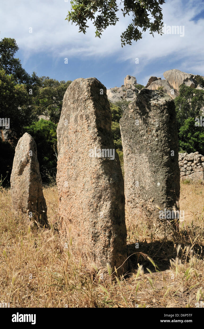 Rinaju Ausrichtung der neolithischen Menhiren errichtet vor rund 6500 Jahren bei Cauria, Korsika, Frankreich, Europa Stockfoto