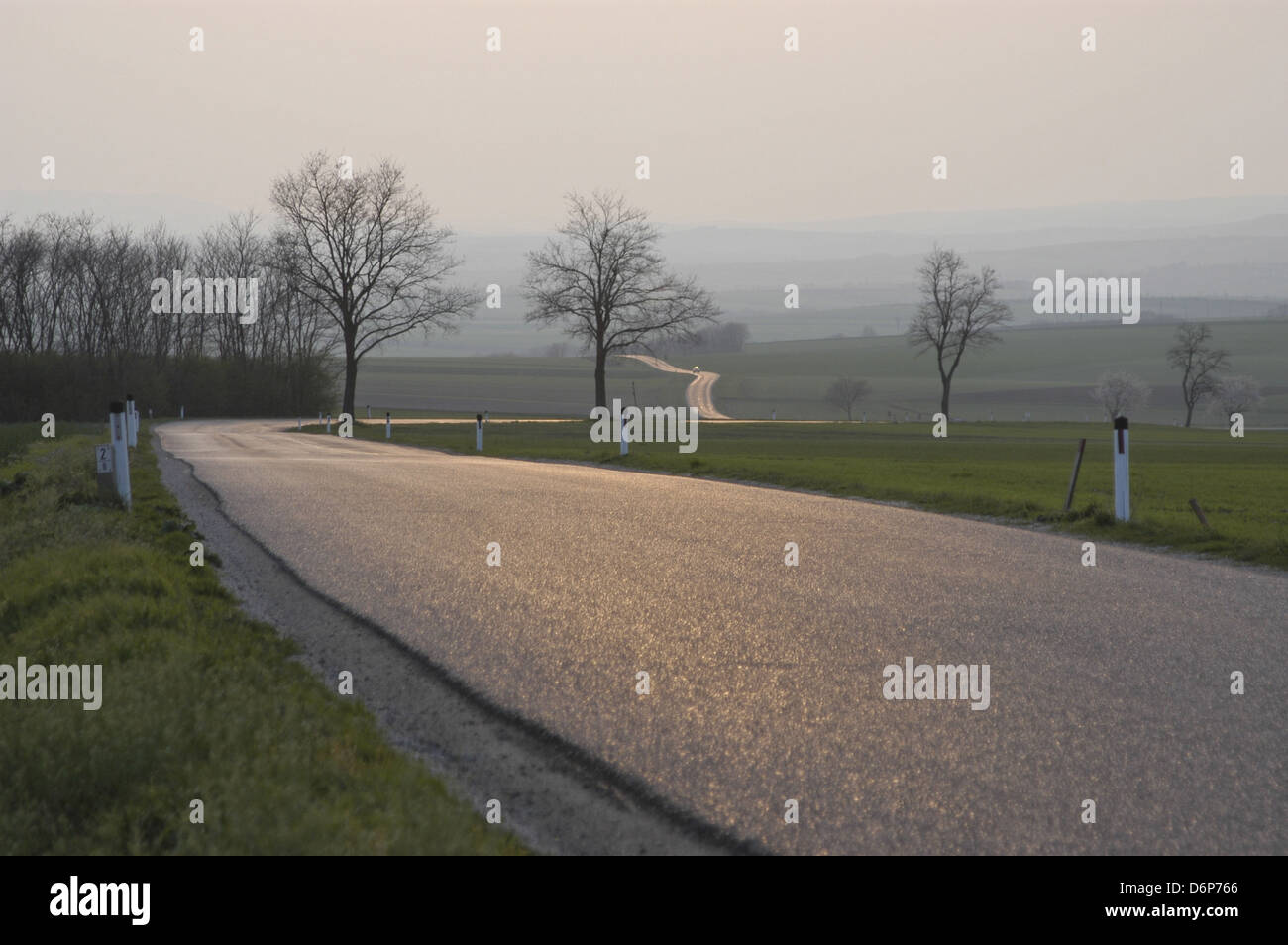 Österreich, Weinviertel, Straße, Abendsonne friedliche, harmonische, Österreich, Weinviertel, Straße, Abendsonne Friedlich, Stockfoto