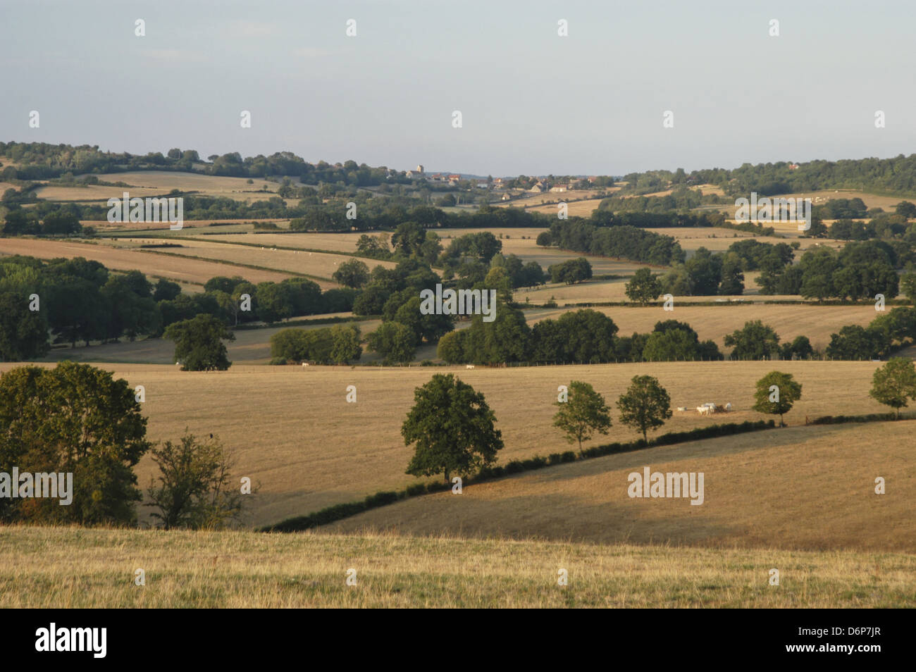 Frankreich, Burgund, in der Nähe von Beaune (im August) friedliche, harmonische, Frankreich, Burgund, Nahe Beaune (Im August) Friedlich, Harmonie Stockfoto