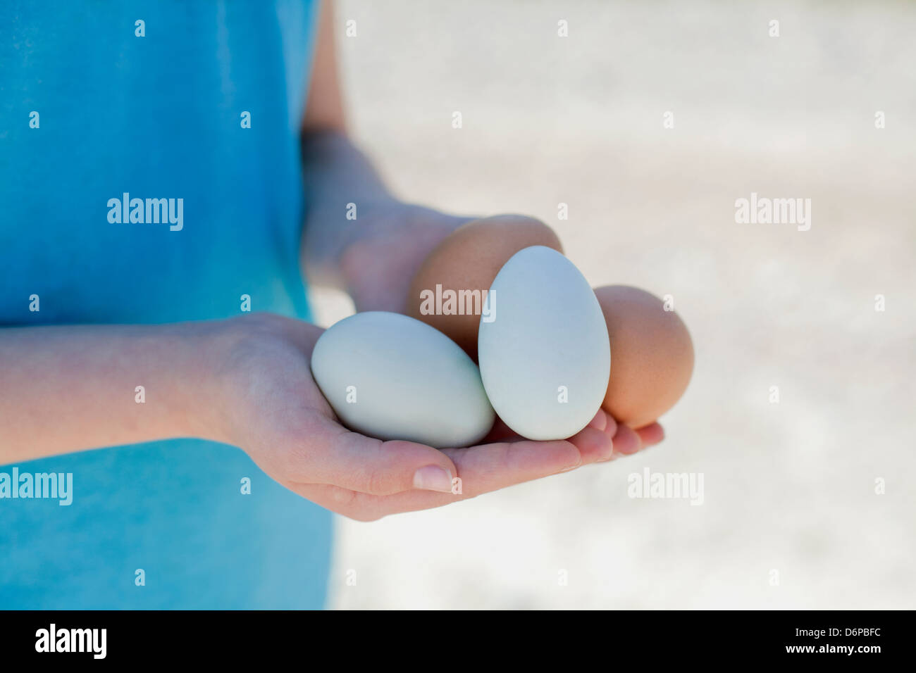 Bio-Eiern in den Händen der Mädchen auf Bauernhof. Stockfoto