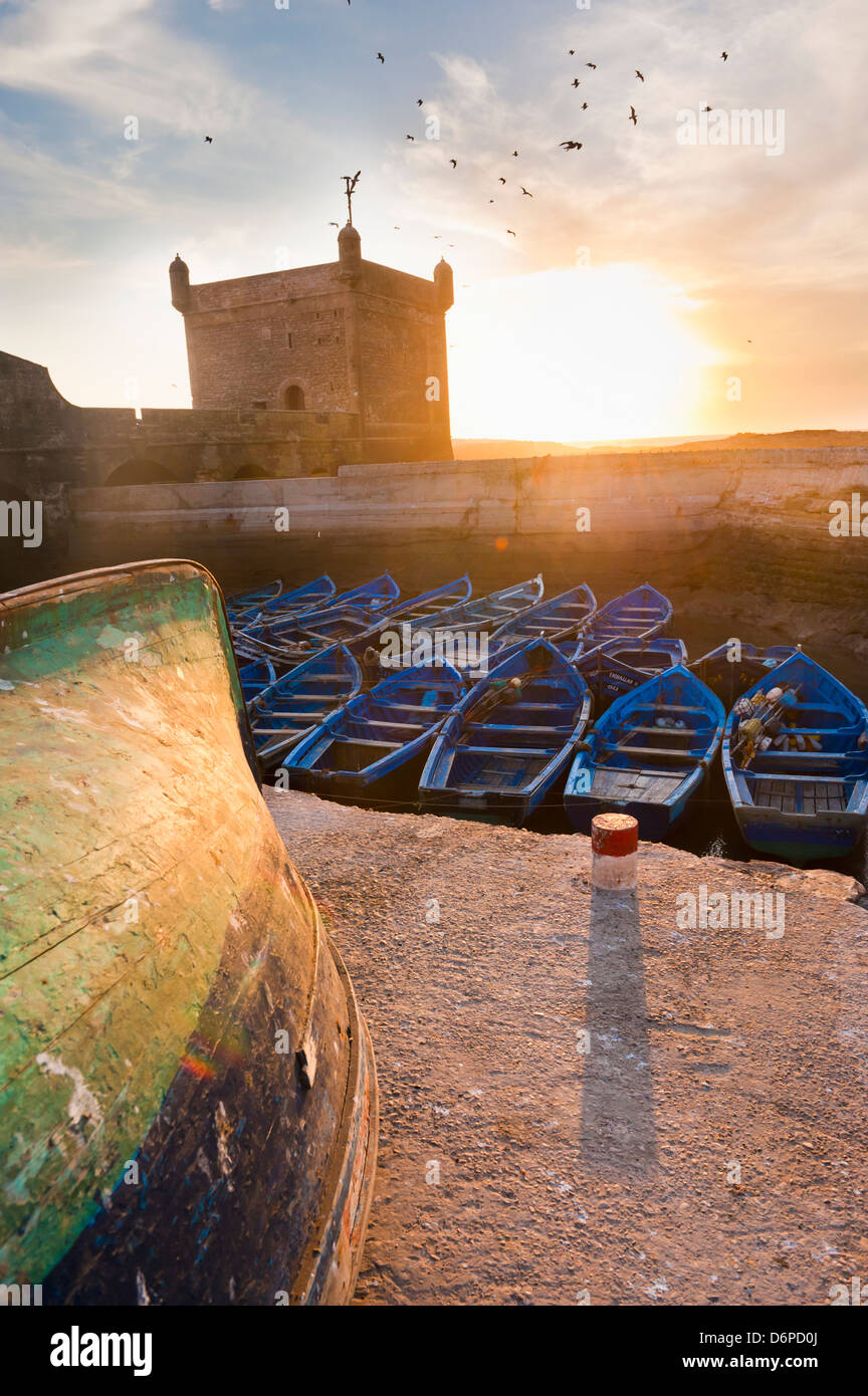Blaue Angelboote/Fischerboote in Essaouira Hafen, früher Mogador, Marokko, Nordafrika, Afrika Stockfoto