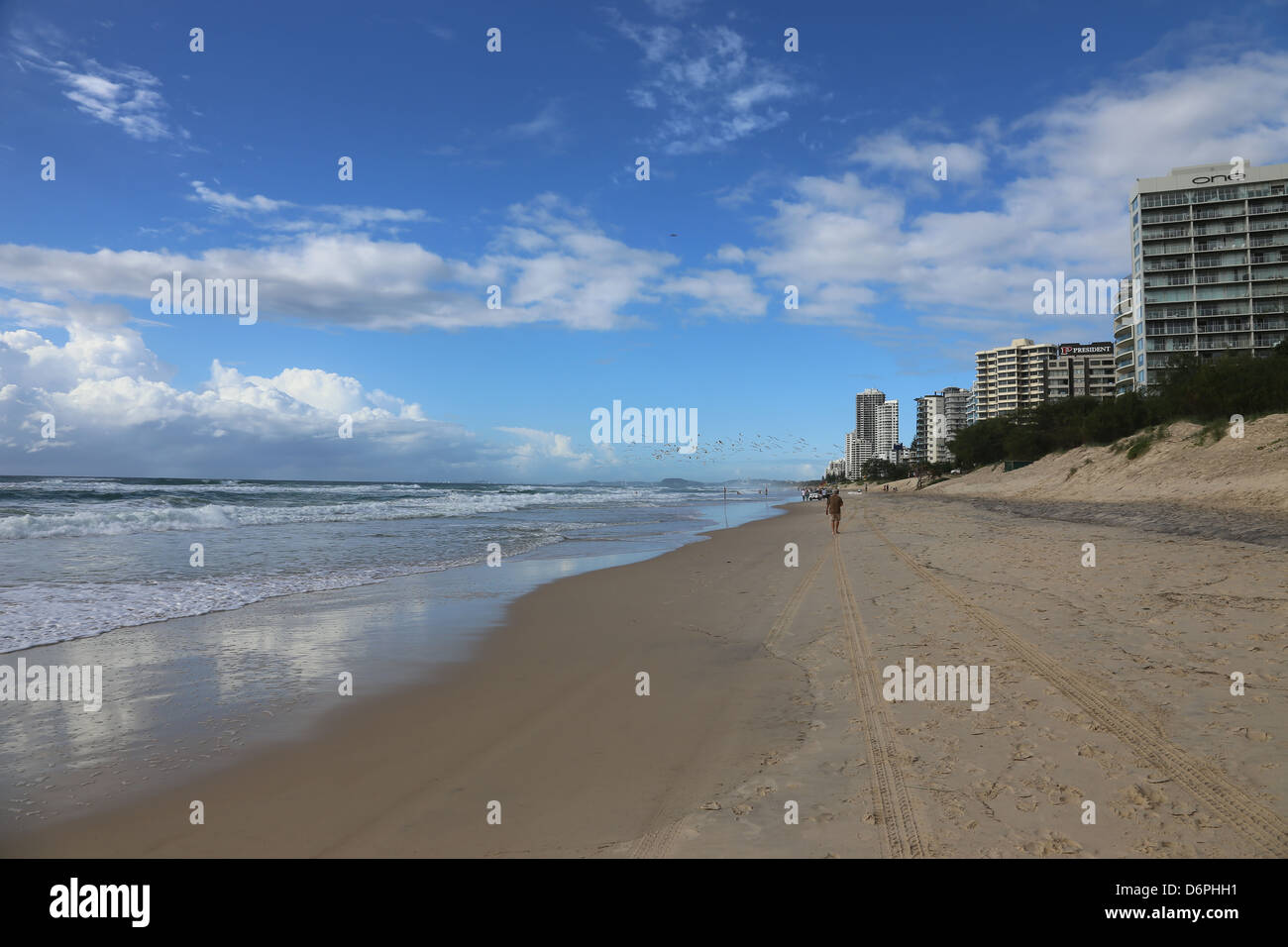 Gold Coast Beach-Sydney Stockfoto