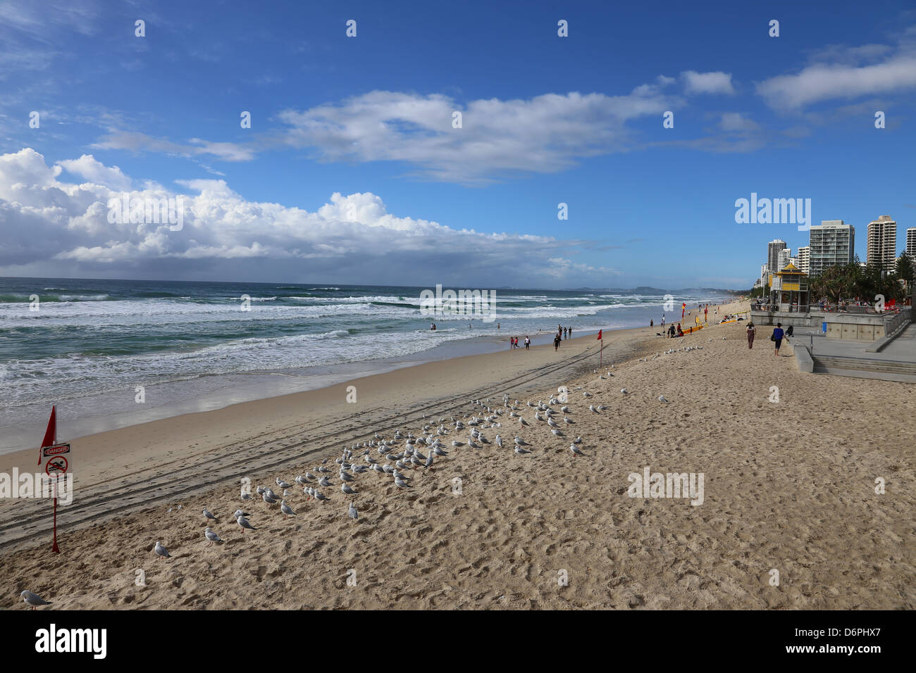 Gold Coast Beach-Sydney Stockfoto