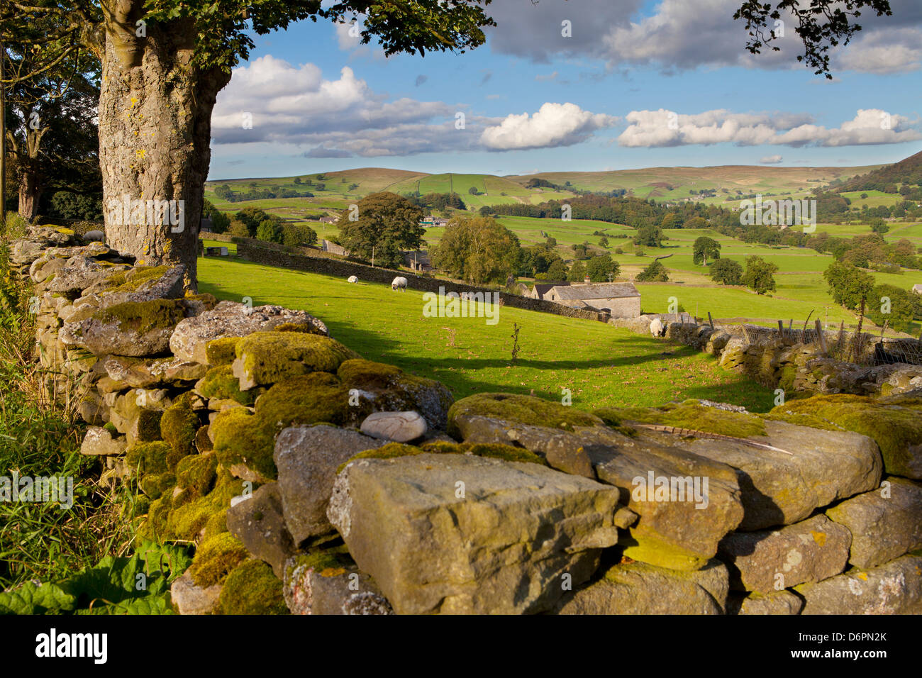 Bauernhof in der Nähe von Burnsall, Yorkshire Dales National Park, Yorkshire, England, Vereinigtes Königreich, Europa Stockfoto