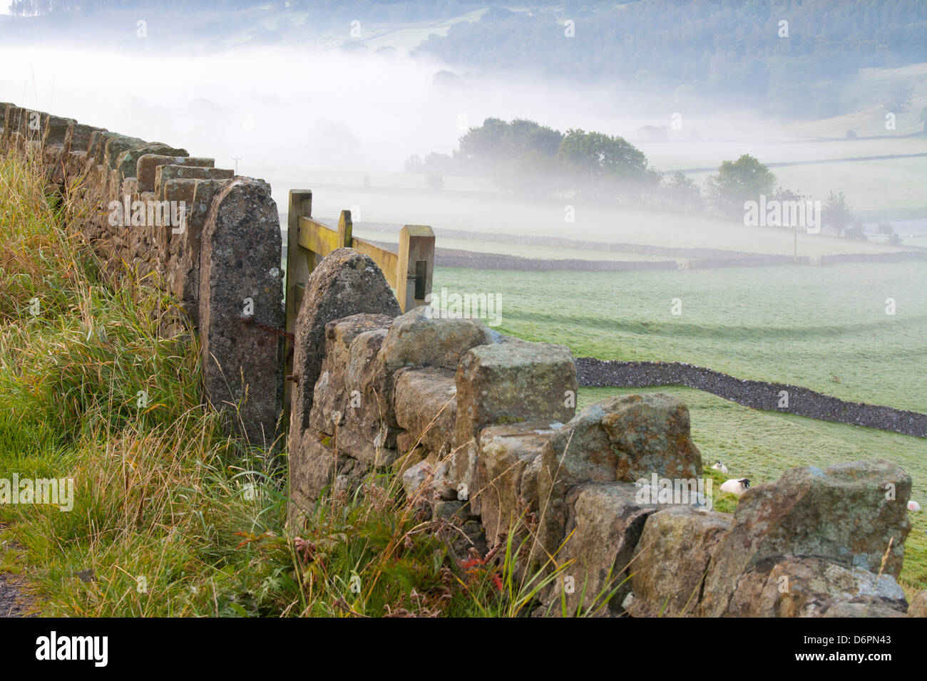 Stein-Zaun, Burnsall, Yorkshire Dales National Park, Yorkshire, England, Vereinigtes Königreich, Europa Stockfoto