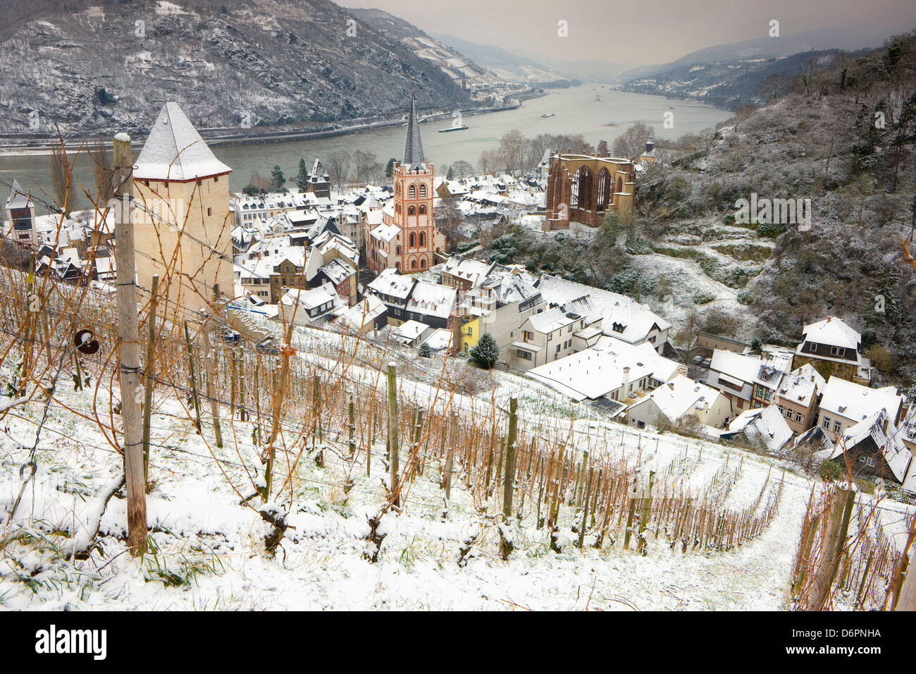Überblick über Bacharach und dem Rhein im Winter, Rheinland-Pfalz (Rheinland-Pfalz), Deutschland, Europa Stockfoto