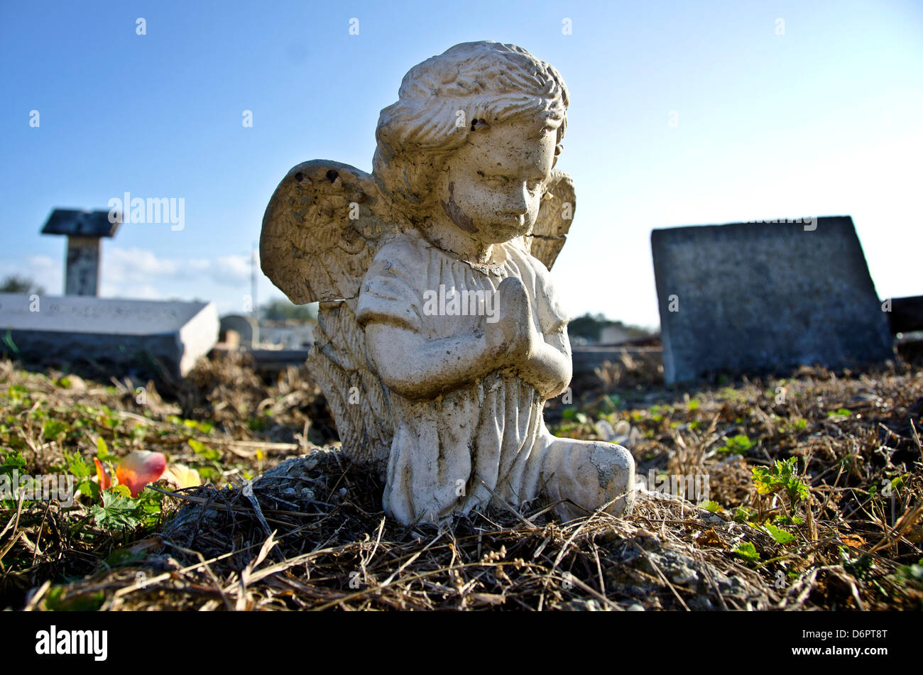 Statue eines Engels im Friedhof von Holt, New Orleans, Louisiana, USA Stockfoto