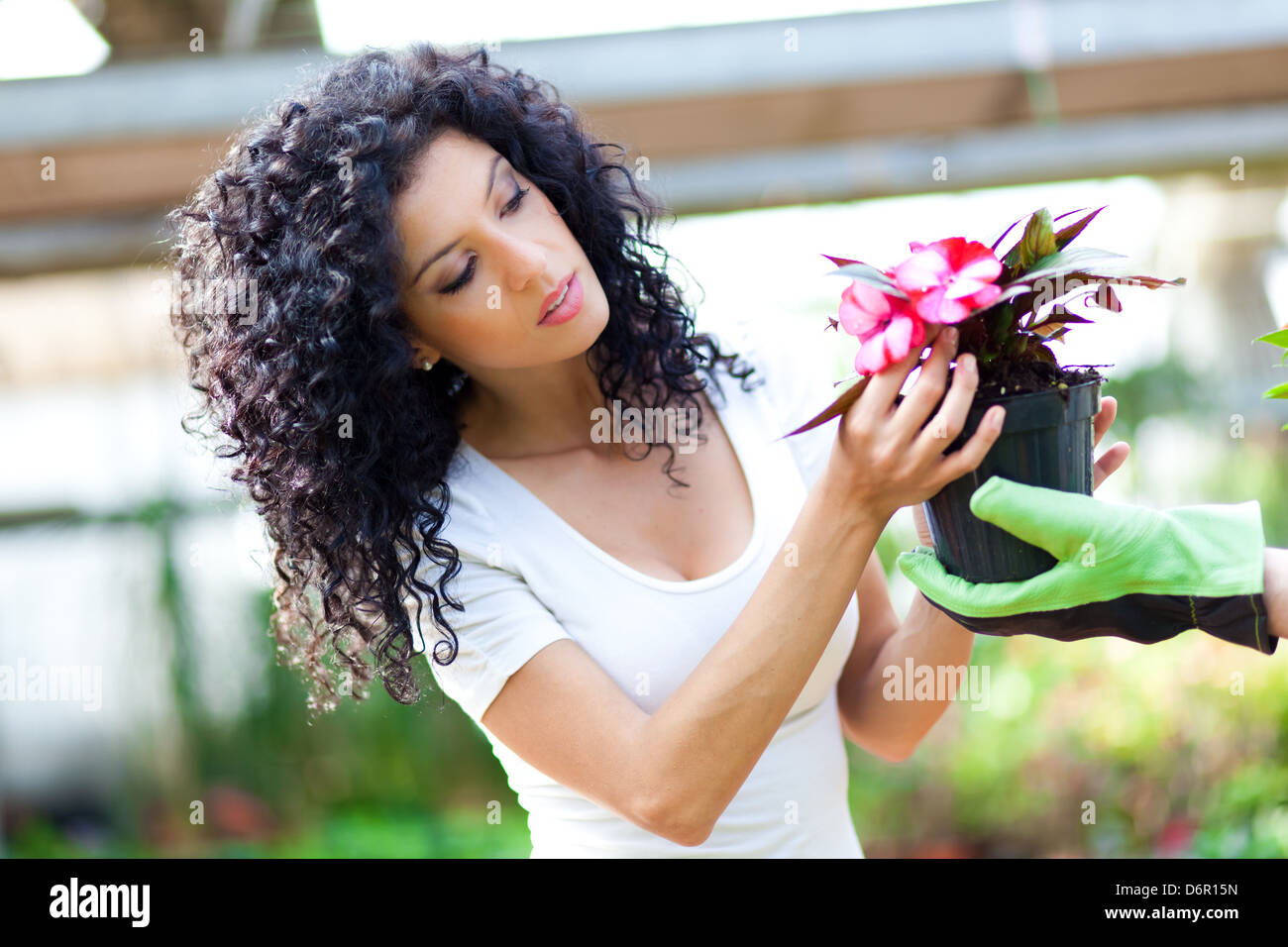 Porträt einer Frau, die Wahl der Blumen im Gewächshaus Stockfoto