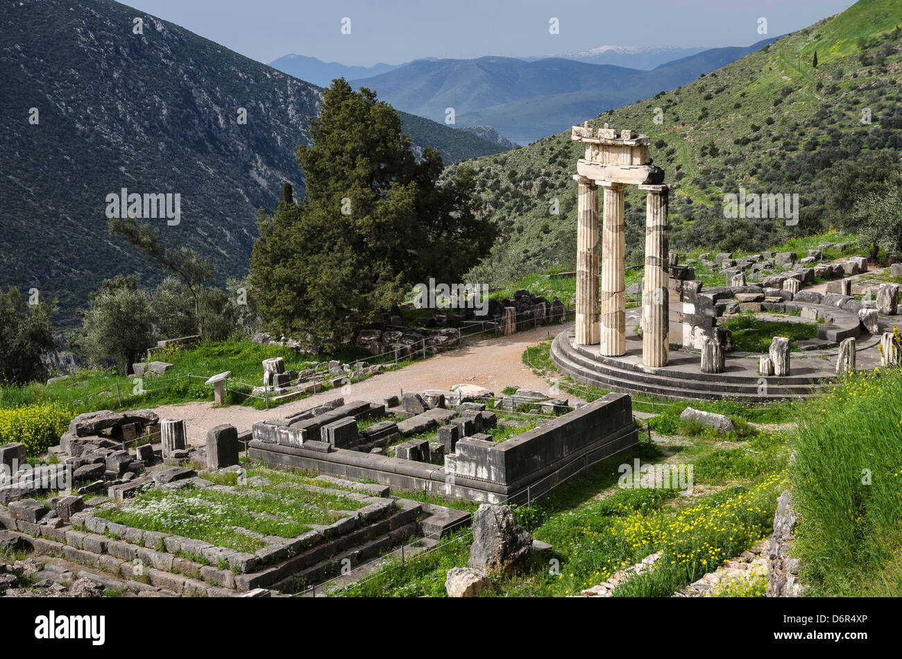 Die kreisrunde Tholos am Tempel der Athena Pronaia, alten Delphi, Thessalien, Griechenland. Stockfoto
