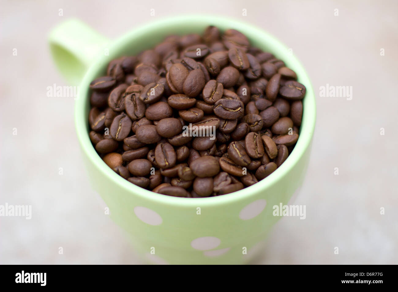 Kaffeebohnen in eine Kaffeetasse Stockfoto