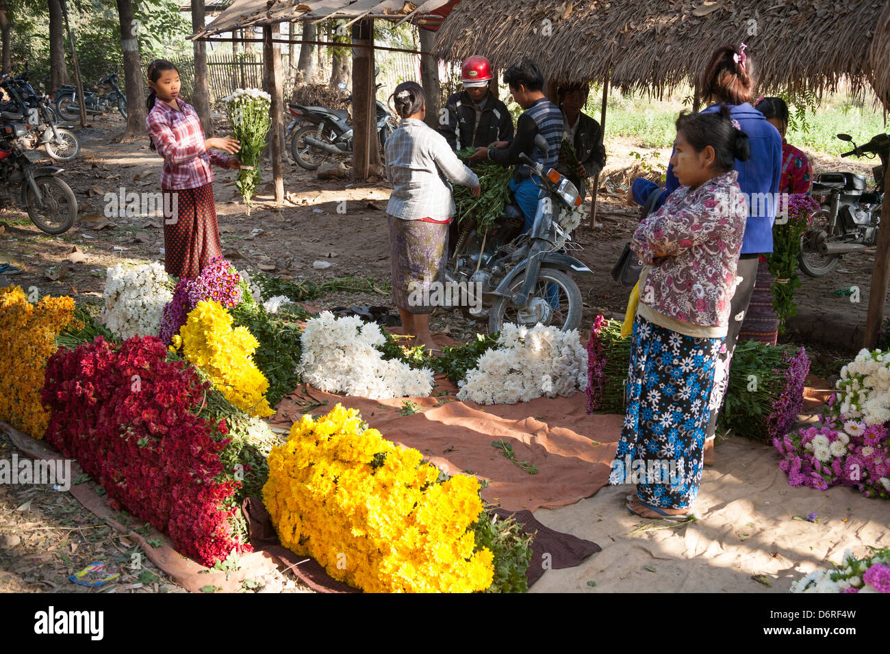 Verkauf von Blumen in einem Blumenmarkt, Mandalay, Myanmar (Burma) Frau Stockfoto