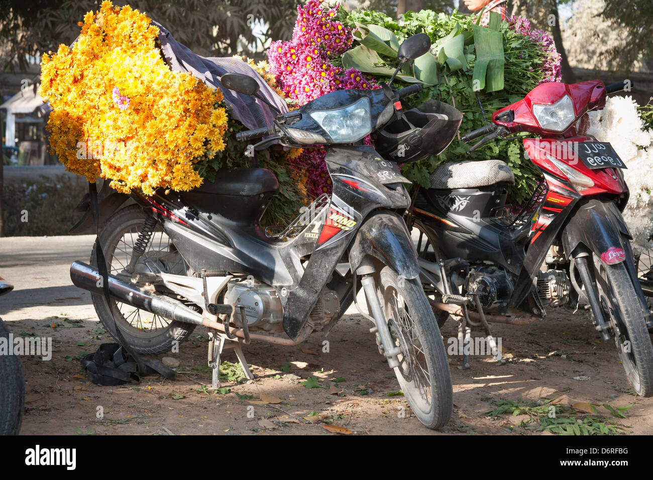 Blumen auf einem Motorrad auf einem Blumenmarkt, Mandalay, Myanmar (Burma) Stockfoto