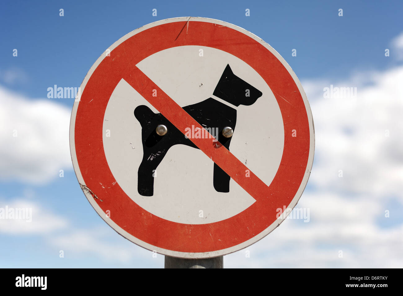 Eckernfoerde, Deutschland, Hunde erlaubt am Strand Stockfoto