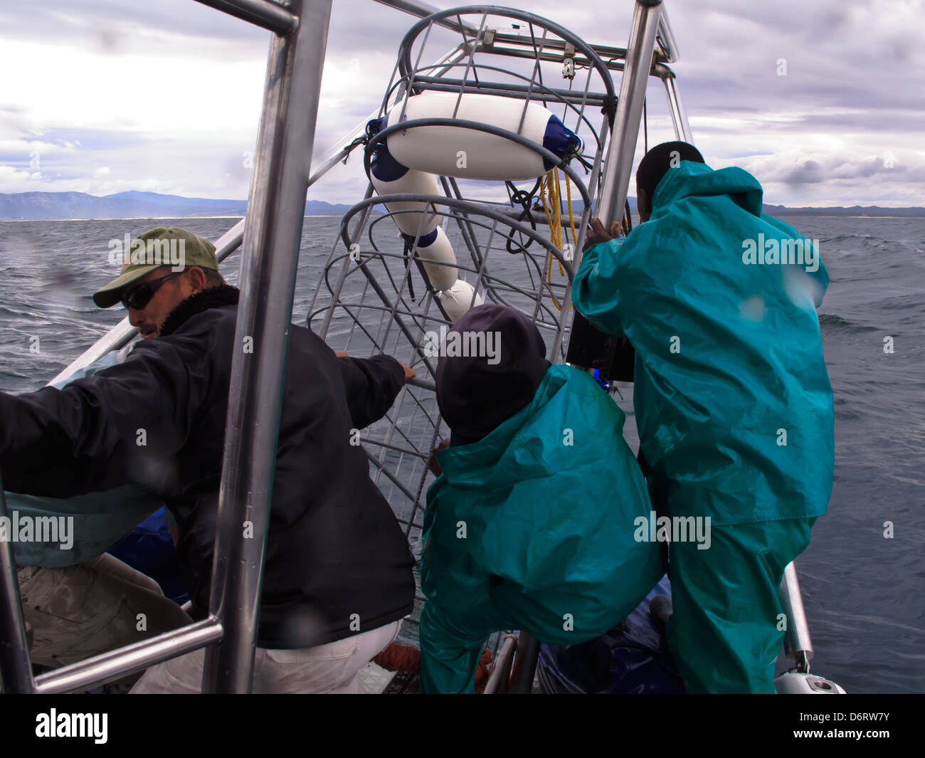 Die Crew lässt Taucher in die Ganis Bay vor der Küste Südafrikas einen Metallhai-Käfig absteigen Stockfoto