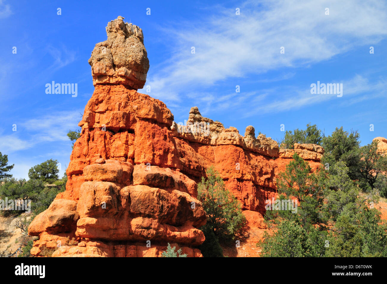 Hoodoos in Red Canyon in Utah Stockfoto