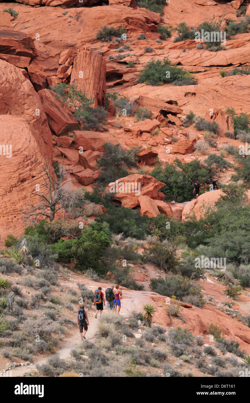 Wanderer im Bereich Calico Hills des Red Rock Canyon Stockfoto