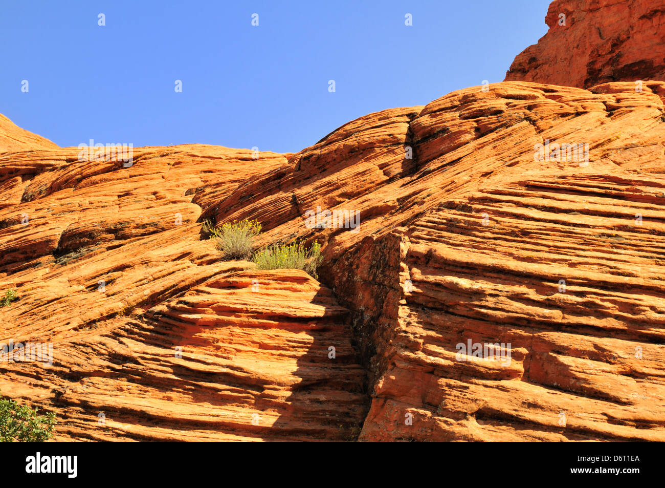 Roten Felsformation am Snow Canyon State Park zeigt erodierten, emporgehoben Sedimentgestein mit Brüchen und Verwerfungen Stockfoto