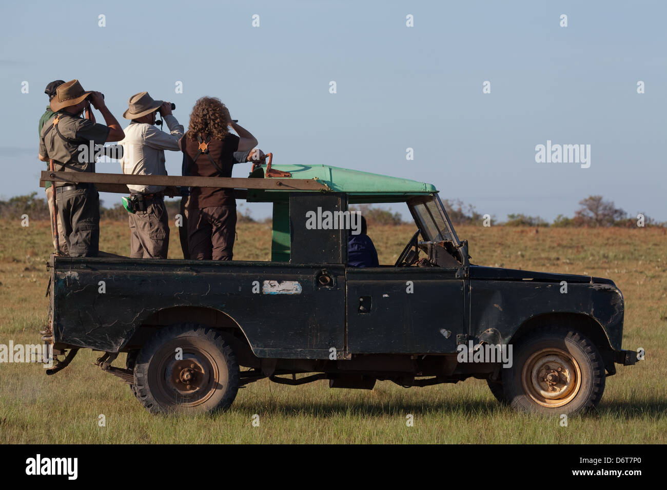 Öko-Touristen in offenen Top vier-Rad-Fahrzeug Scannen Grünland Lebensraum für riesige Ameisenbären. Karanambu, Rupunumi Savanne. Guyana Stockfoto