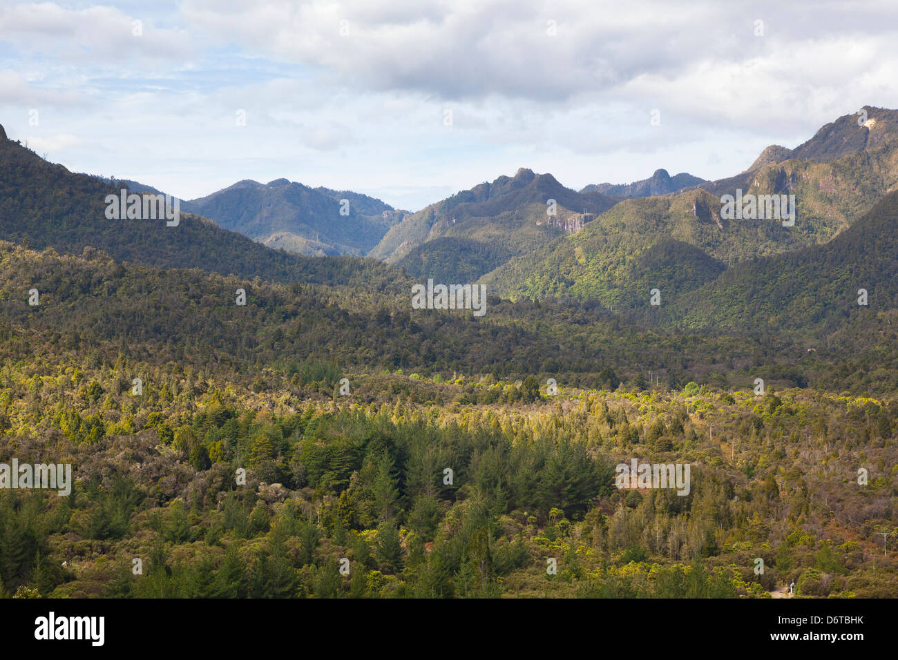Wälder und Hügel im Kauaeranga Valley, Coromandel, Neuseeland Stockfoto