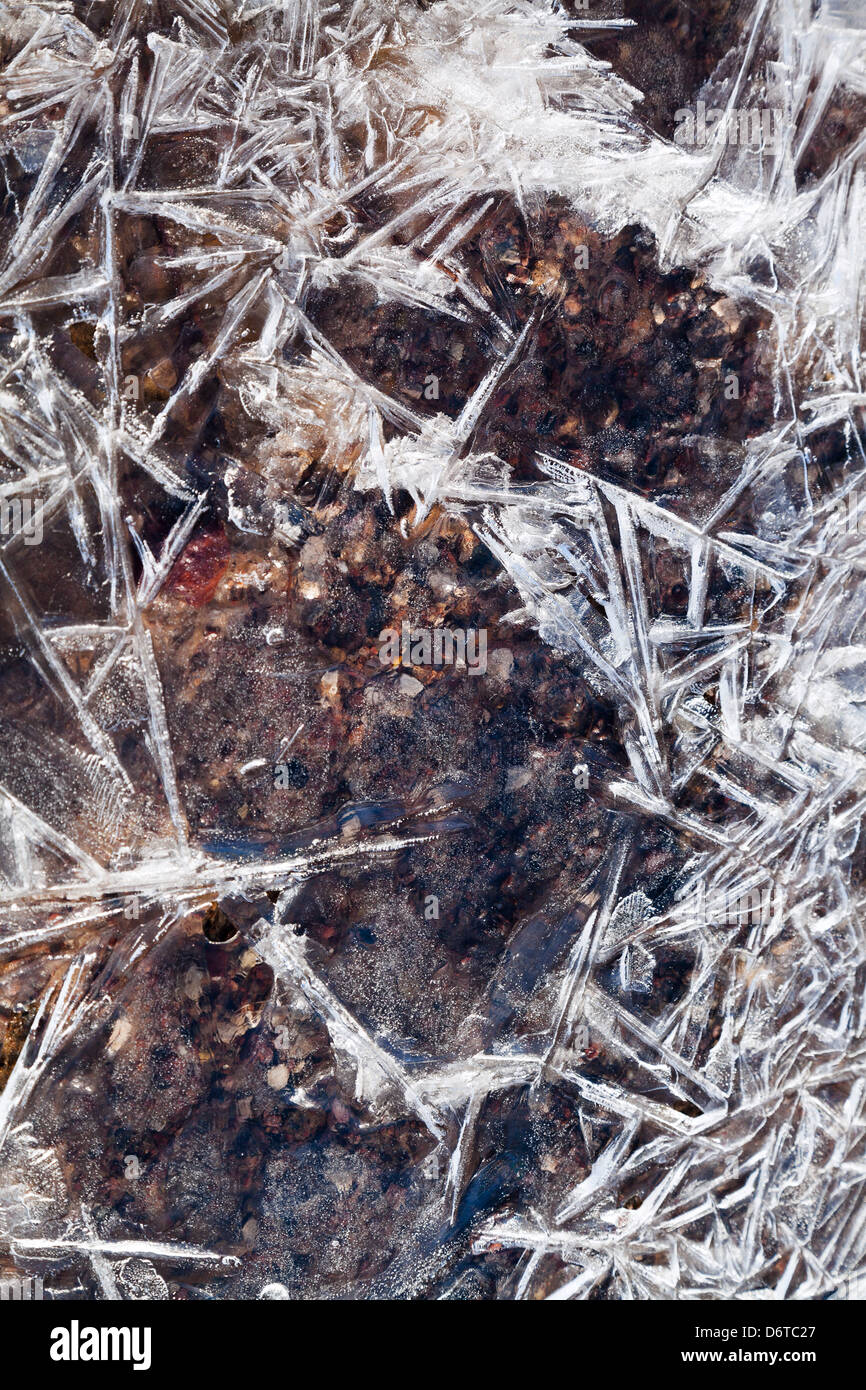 Eiskristalle unter gefrorenen Bach im Frühlingswald Stockfoto