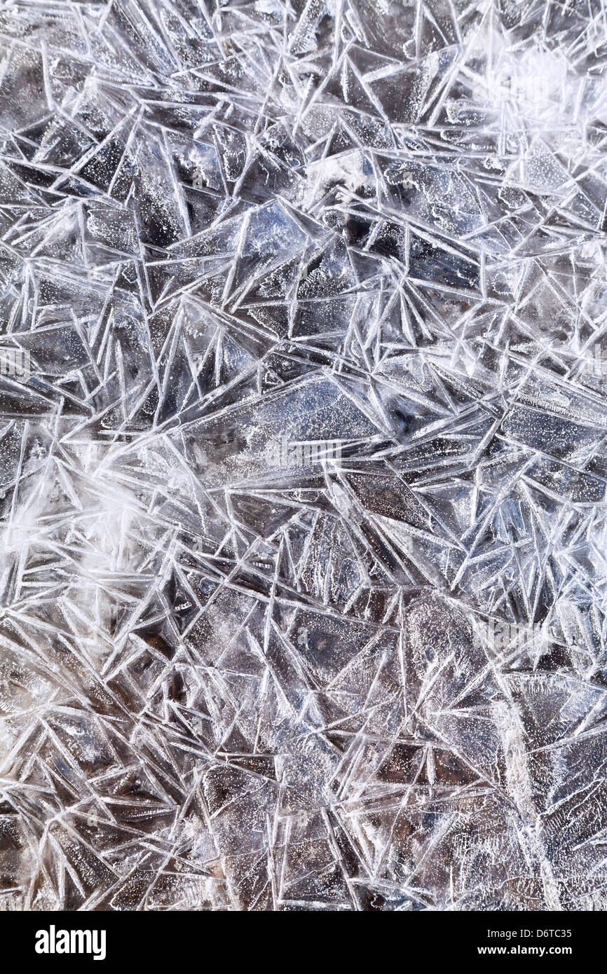 Eiskristalle unter gefrorene Pfütze im Frühlingswald Stockfoto