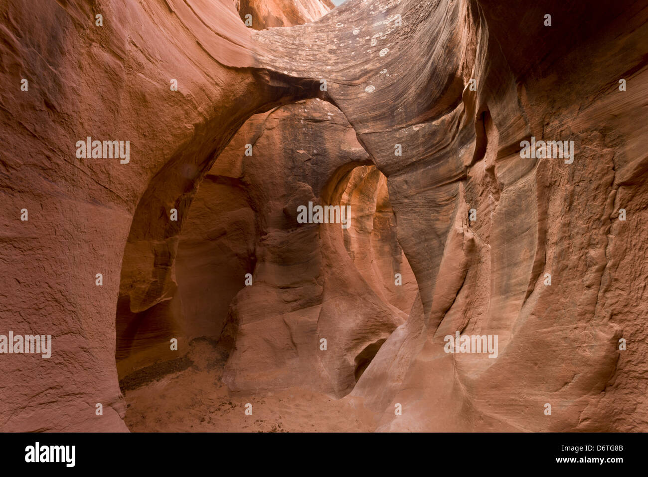 Peek-a-boo Slotcanyon durchschneiden Navajo Sandstein, Grand Staircase-Escalante National Monument, Utah, USA, Oktober Stockfoto