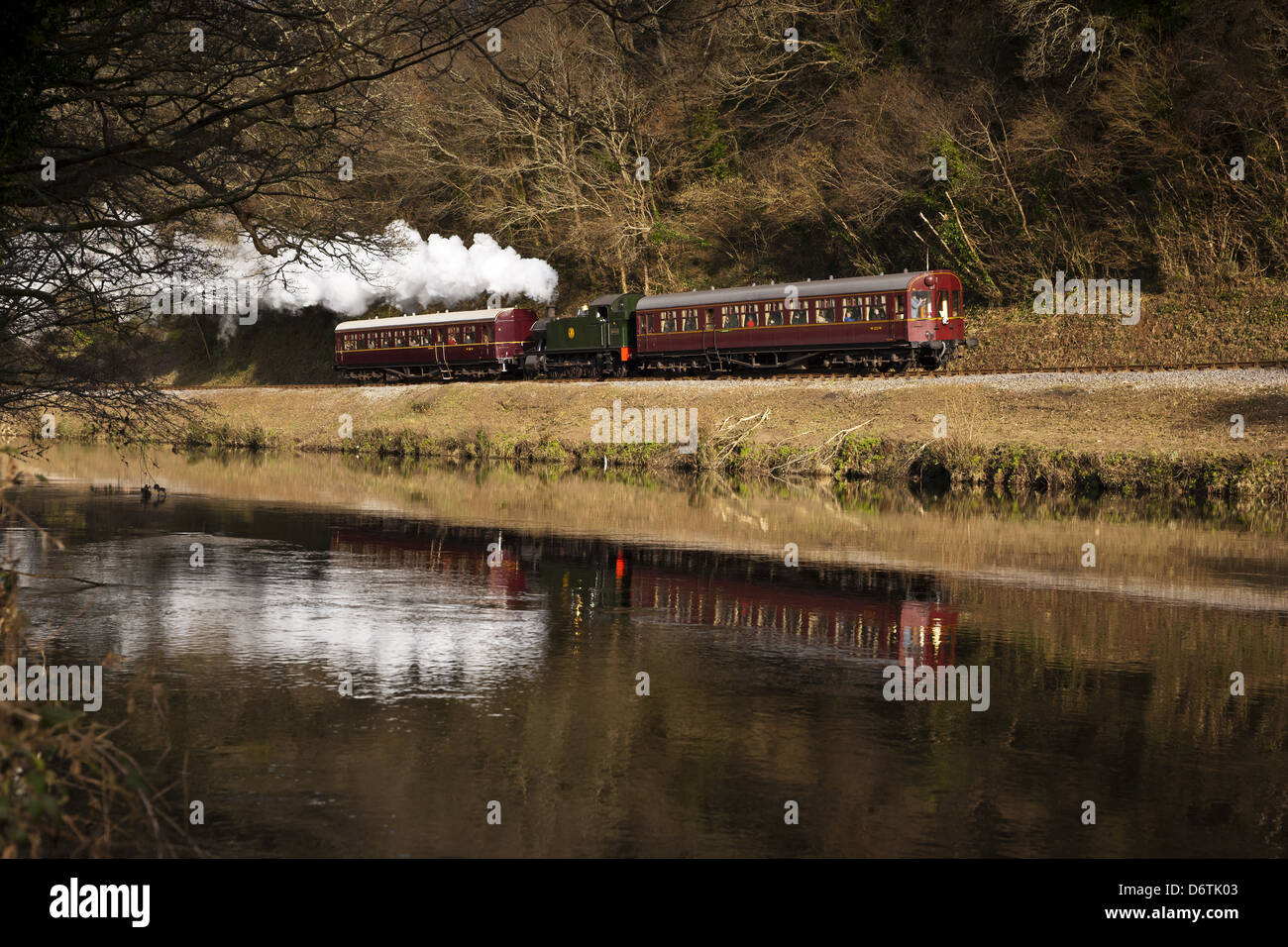 South Devon Dampfeisenbahn Stockfoto