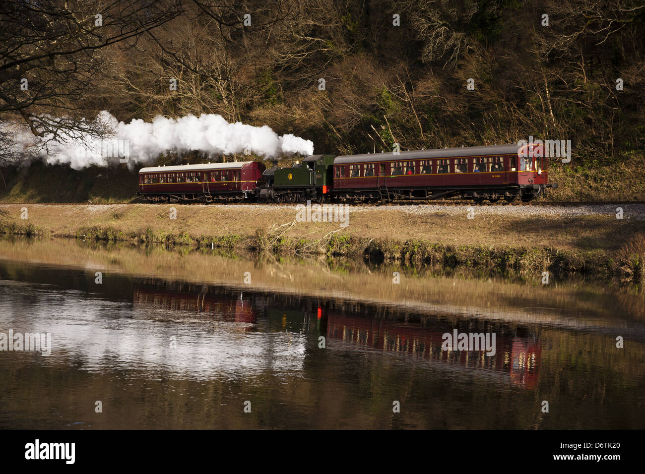 South Devon Dampfeisenbahn Stockfoto