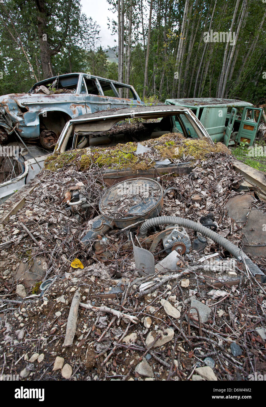 Auto-Friedhof. Alaska. USA Stockfoto