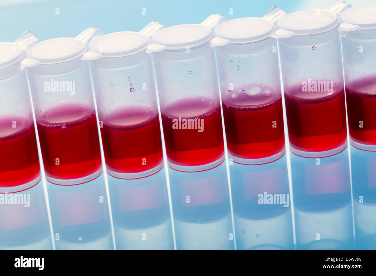 Testen das Medikament auf der Grundlage von Stammzellen Stockfoto