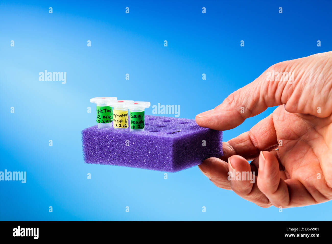 Reaktionscup probieren Sie medizinische Tablett in der hand Stockfoto