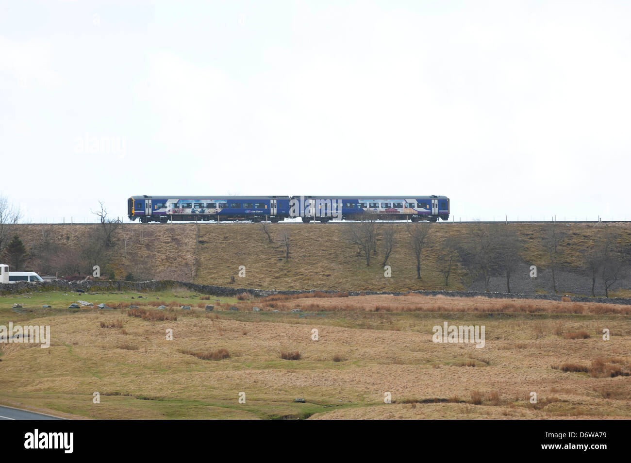 Northern Rail train in West Yorkshire Lackierung am Ufer nähert sich Ribblehead-Viadukt Stockfoto