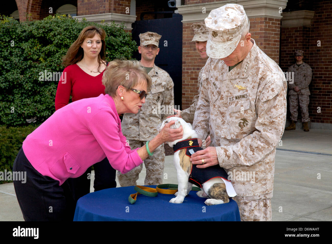 Commandant of the Marine Corps, General James F. Amos; die First Lady des Marine Corps, Bonnie Amos teilen Sie einen Moment mit dem eingehenden Marine-Maskottchen, Private First Class Chesty XIV nach der Adler-Kugel und Anker Zeremonie 8. April 2013 in Washington, DC. Die englische Bulldogge ist seit den 1950er-Jahren mit jedem benannt zu Ehren von den hochdekorierten späten General Lewis Chesty Puller Chesty die Wahl der Rasse für Marine-Maskottchen. Stockfoto