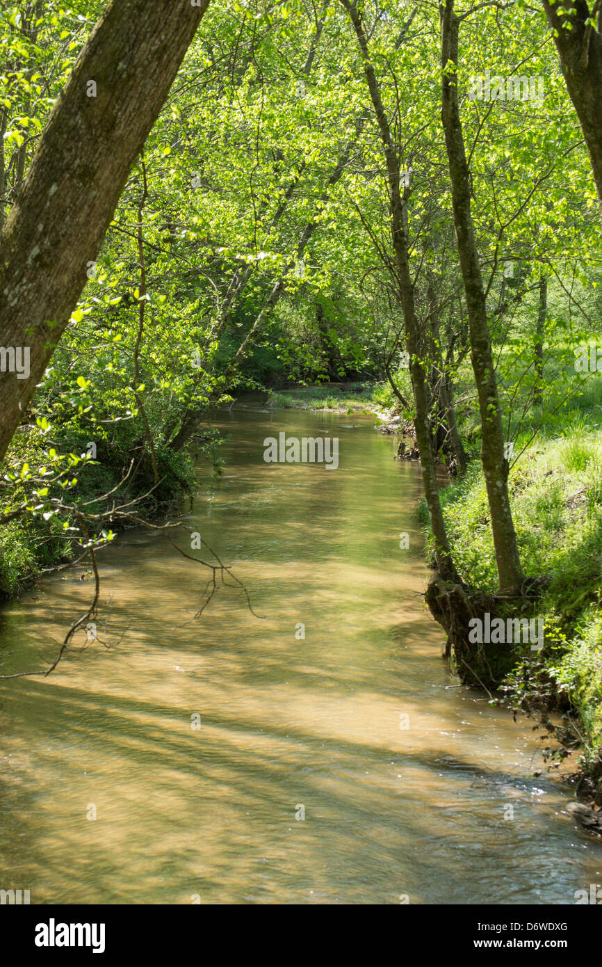Kleiner Fluss mit Bäumen und Rasen Stockfoto