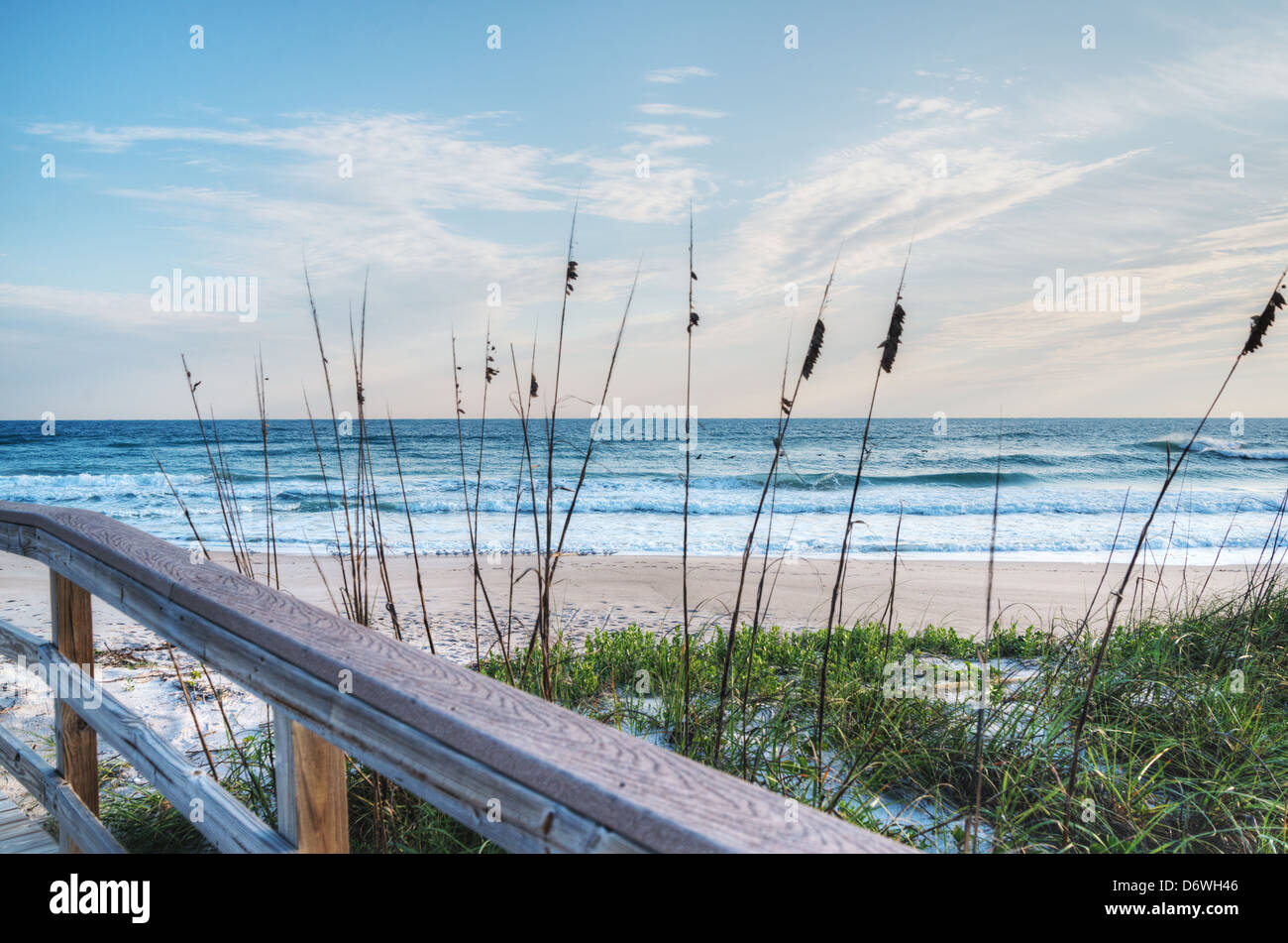 Canaveral National Seashore am Morgen Stockfoto