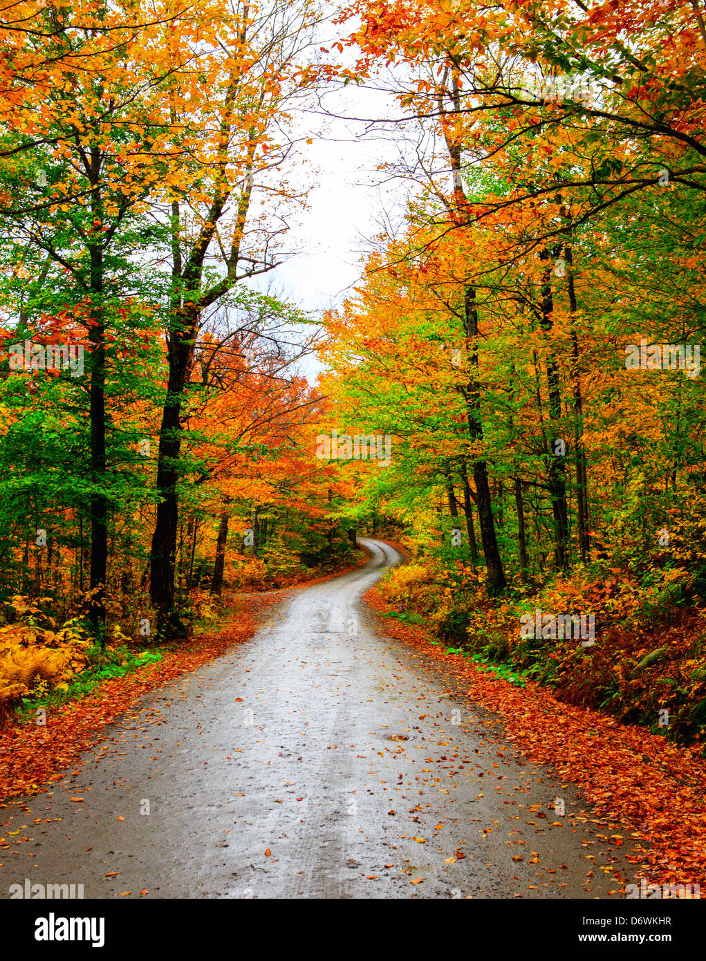 Straße durch die Berge von New Hampshire im Herbst. Stockfoto