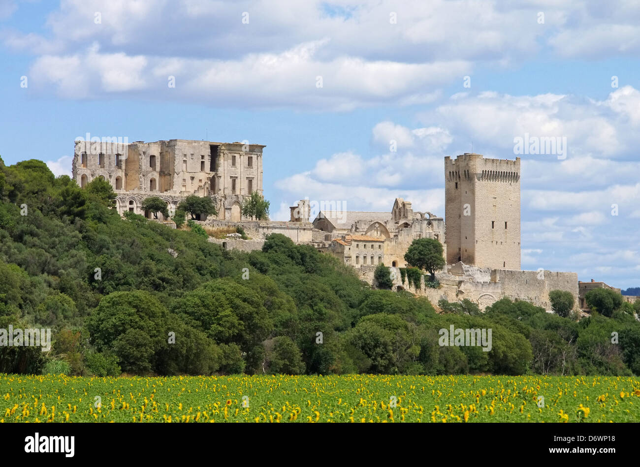 Abbaye de Montmajour 09 Stockfoto